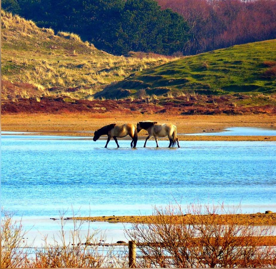 Prachtige Woning Aan De Duinen Βίλα Ντεν Χέλντερ Εξωτερικό φωτογραφία